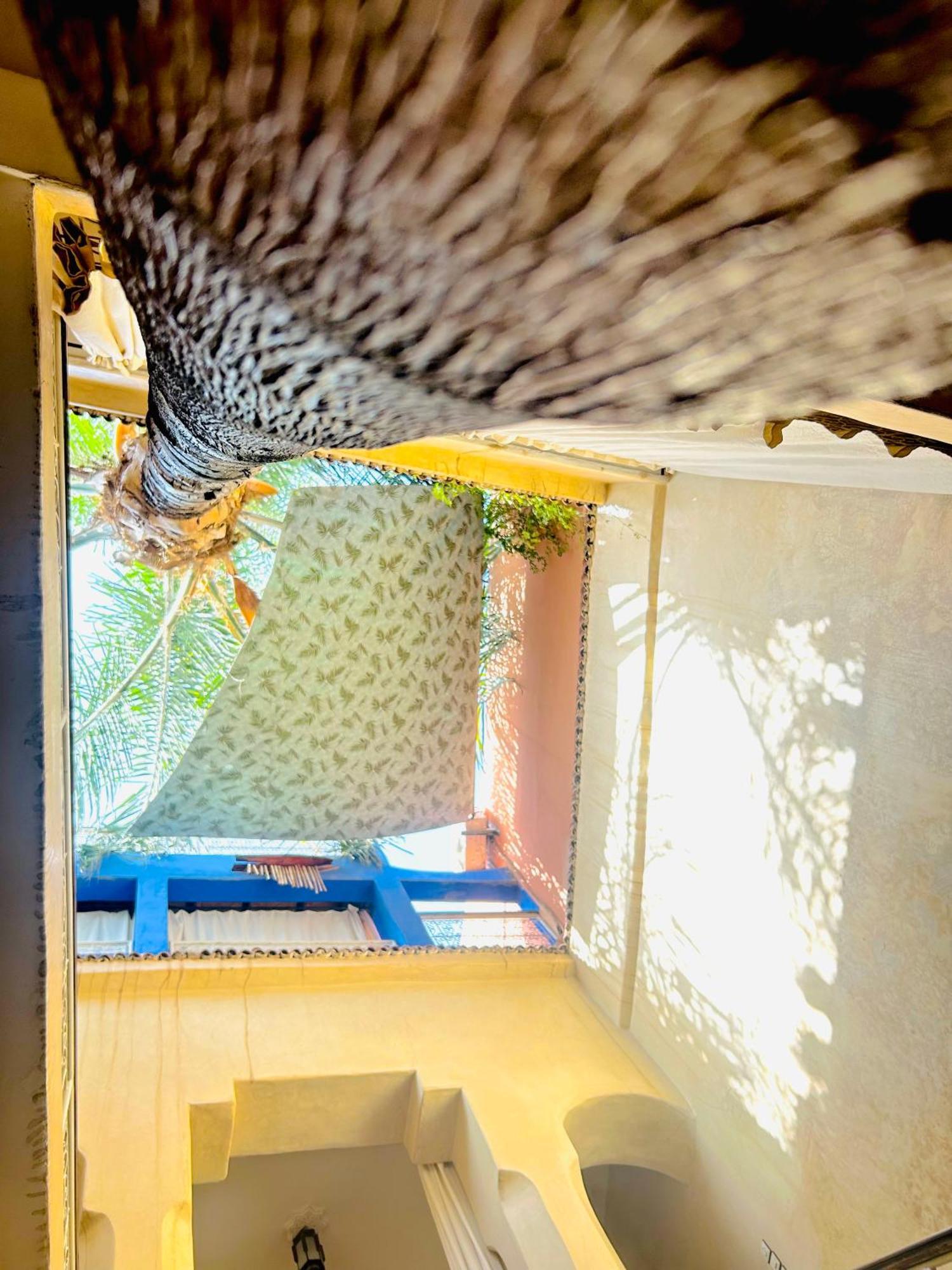 Riad Alamine Marraquexe Exterior foto